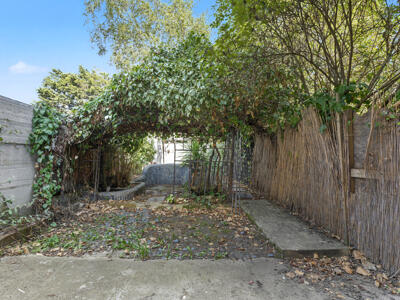 Picture 15